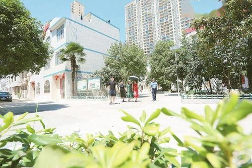 南阳头条小区物业创文,共建美好家园新篇章”