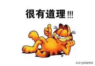 哪个时段发头条好,如何让头条文章事半功倍