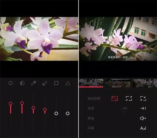 头条小视频电影制作软件,头条小视频软件带你开启影视创作之旅