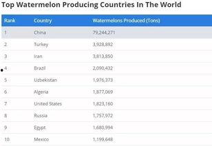 外国看中国吃瓜网站