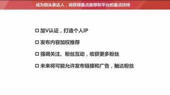 山西潼关最新头条文章,探寻古关新颜，见证历史与现代交融
