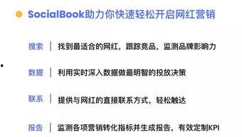 对网红提出建议英文,Top Tips for Aspiring Influencers: Navigating the Digital Landscape