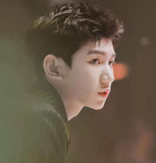 我喜欢的明星王源作文,闪耀舞台，温暖心灵