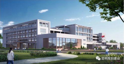 昆明高校爆料新闻,揭秘校园风云事件