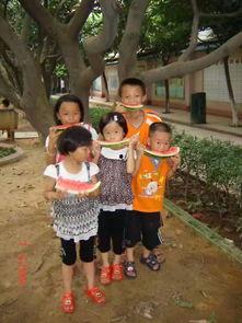 吃瓜观众什么生肖,揭秘吃瓜观众背后的生肖秘密