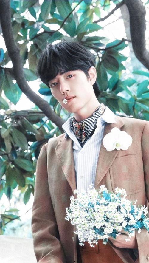 娱乐圈揭秘爆料任嘉伦,娱乐圈背后的真实故事大揭秘