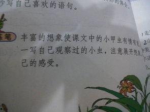 吃瓜故事短文100字,一场百字短文的吃瓜盛宴