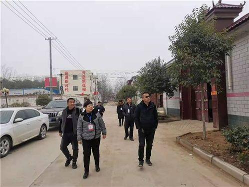 莱芜区大营镇新闻头条,聚焦乡村振兴新篇章