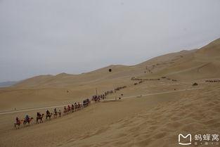 甘肃流浪网红排行榜,揭秘网络红人的崛起之路