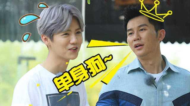 带建的明星有,带建明星的璀璨风采