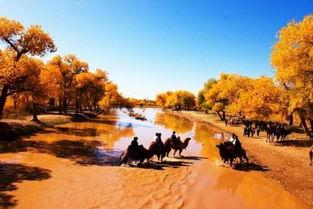 网红恩施胡杨个人资料,网络红人背后的故事与魅力